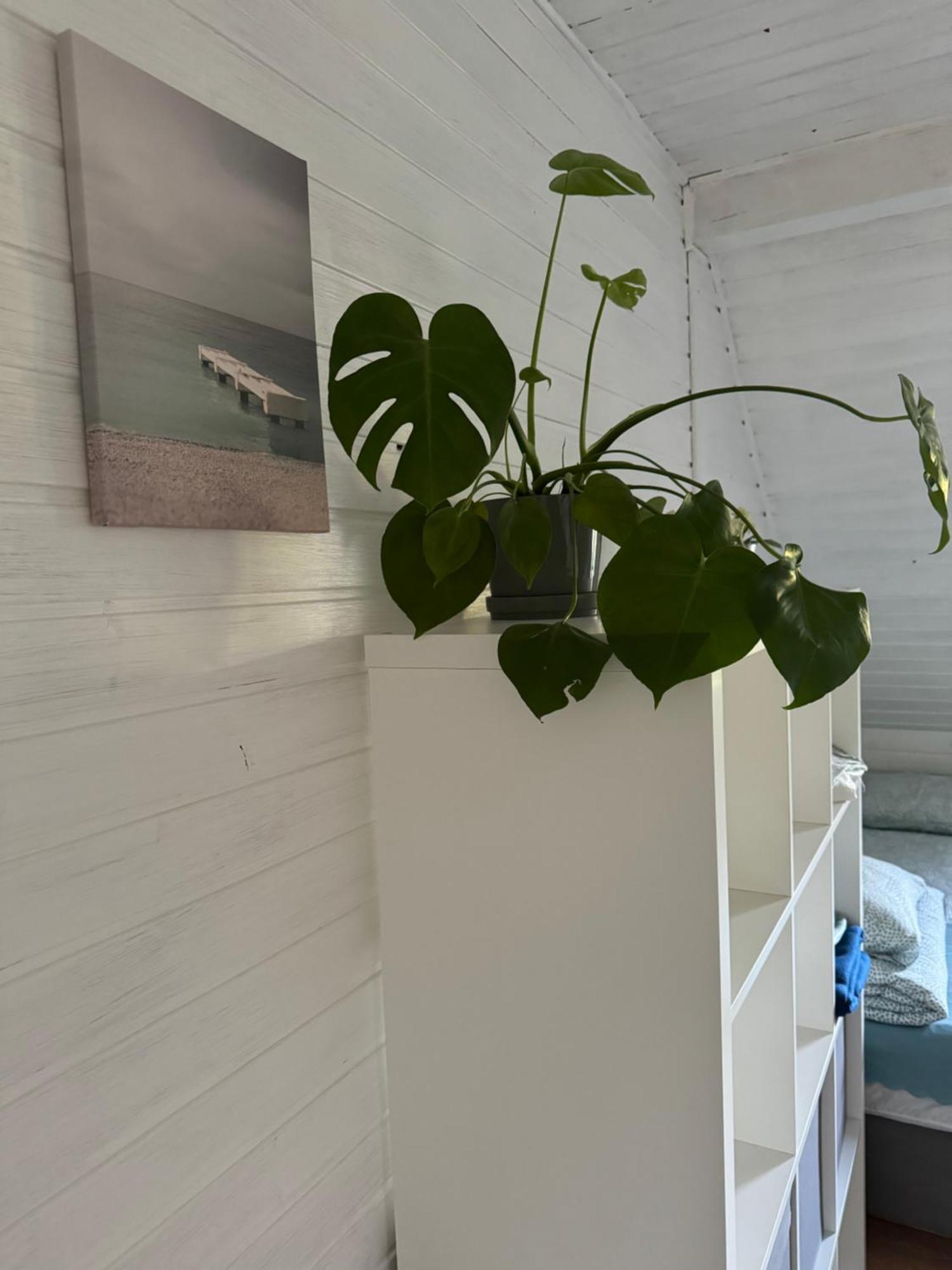 48C Domki Letniskowe I Apartament Pobierowo Bagian luar foto