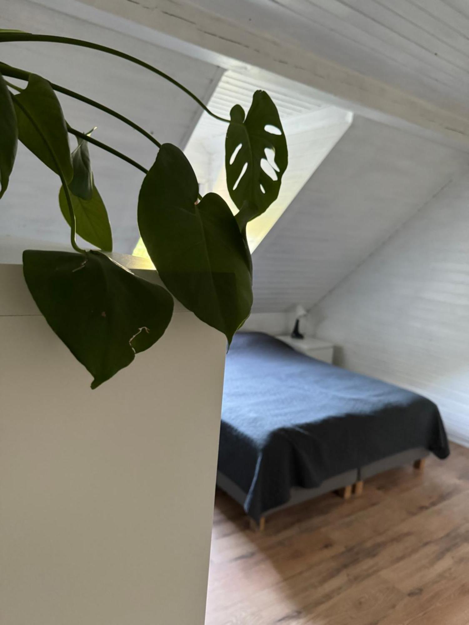 48C Domki Letniskowe I Apartament Pobierowo Bagian luar foto